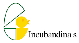 Incubandina